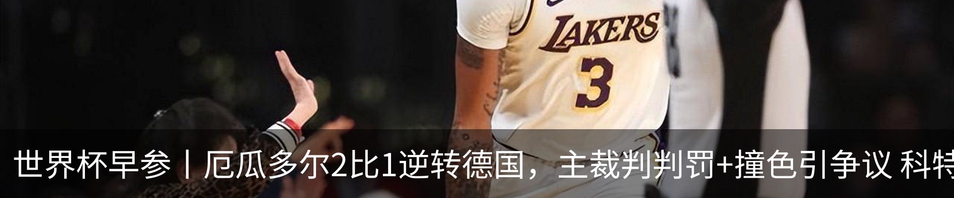 新闻动态