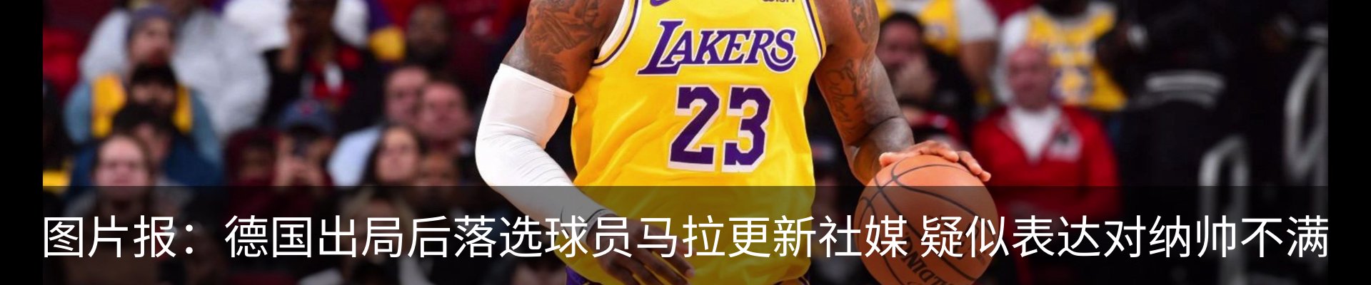 新闻动态