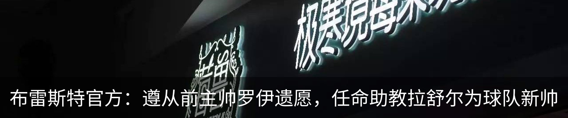 新闻动态