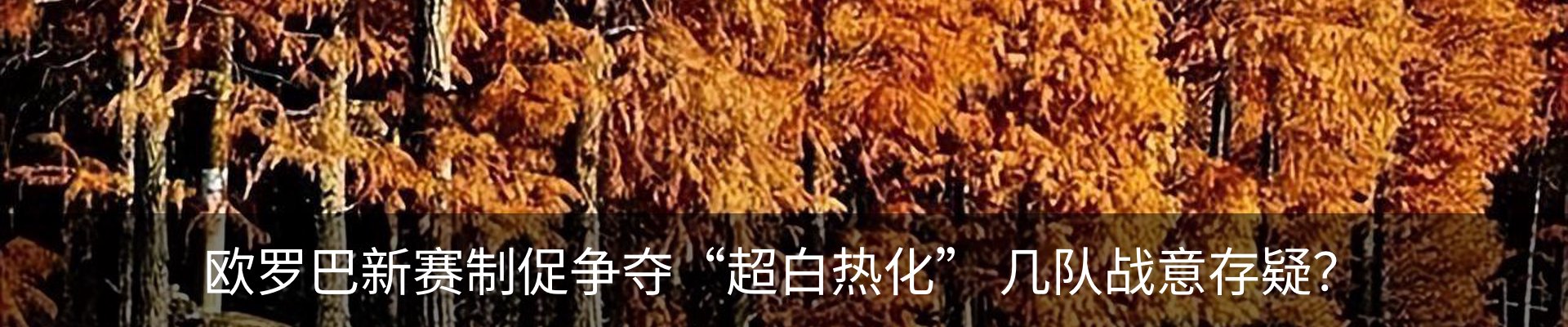 新闻动态