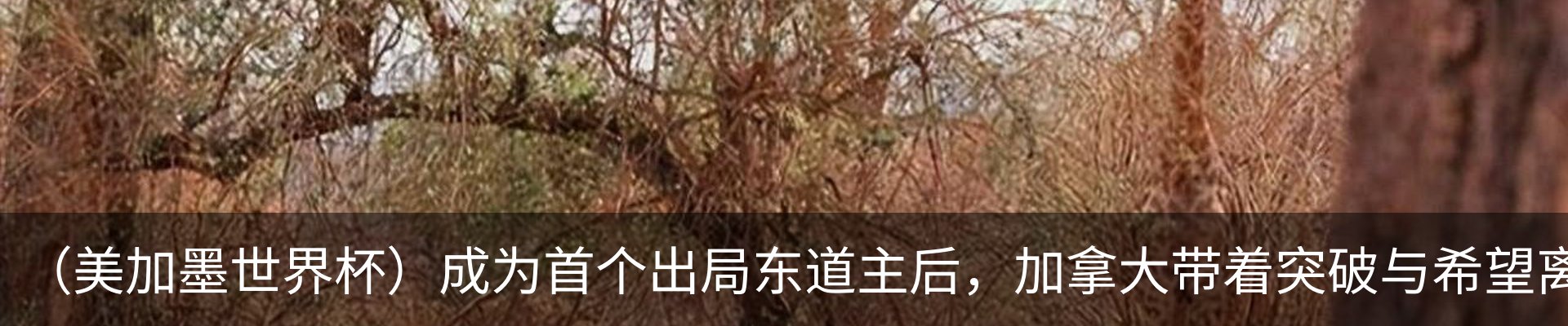 新闻动态