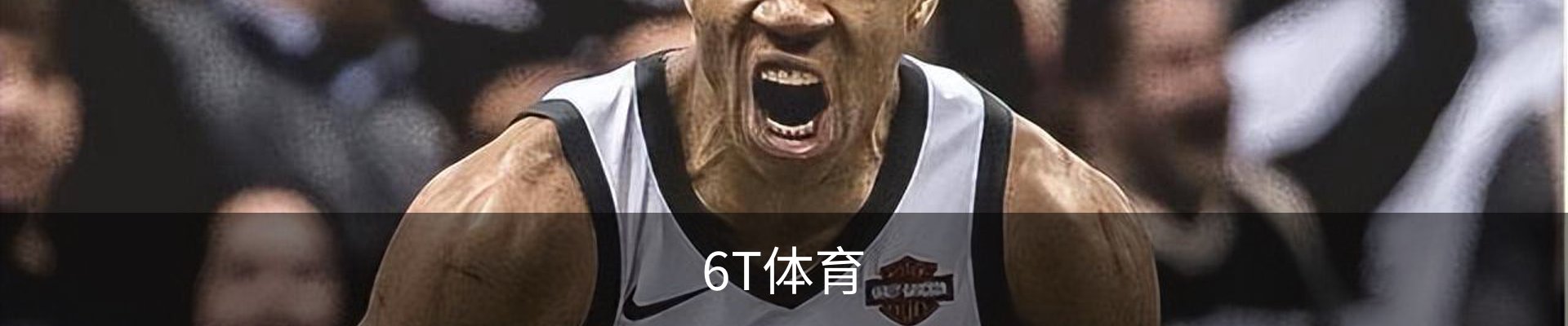 6T体育